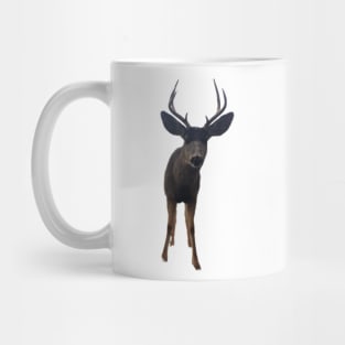 Curious Buck Deer Mug